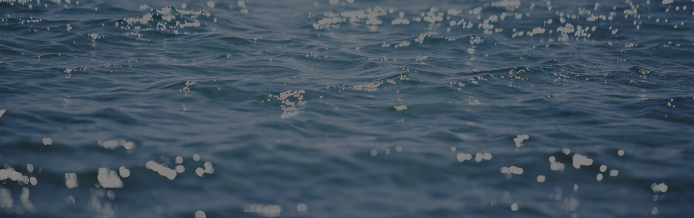 Nos centres nautiques sont fermés et toutes les activités sont annulées jusqu'à nouvel ordre. Nos centres nautiques sont fermés et toutes les activités sont annulées jusqu'à nouvel ordre.