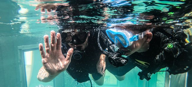 Découverte Plongée | Séance en piscine