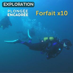Forfait x10