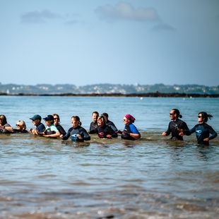 COURS COLLECTIF | Marche aquatique