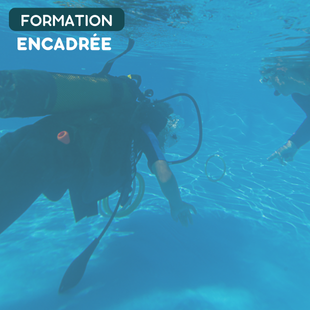 FORMATION PLONGÉE | PE12 ENCADRÉE JUNIOR