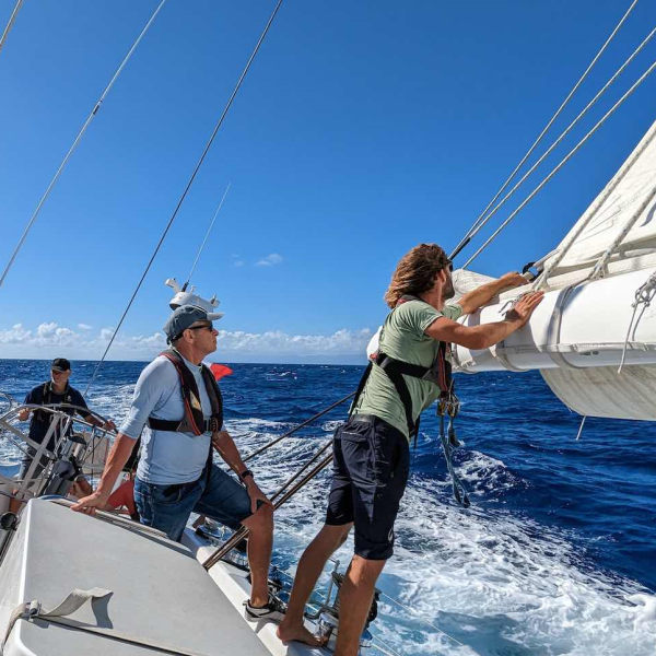 stage voile côtier