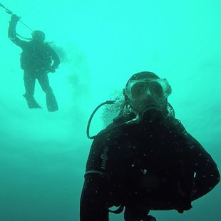 Plongées encadrées | BON CADEAU