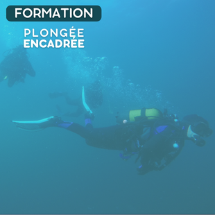 FORMATION | PE40 - ENCADRÉE 40M