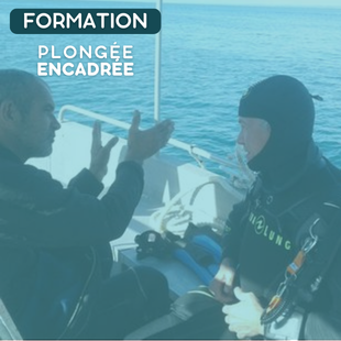 FORMATION | PE60 - ENCADRÉE 60M