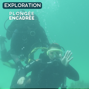 EXPLO | Encadrée -20M