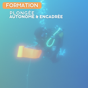 FORMATION | PA20 + PE40 (Niveau 2)