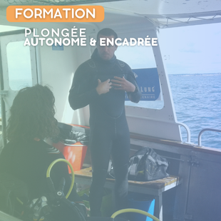 FORMATION | PE60+PA60 (Niveau 3)